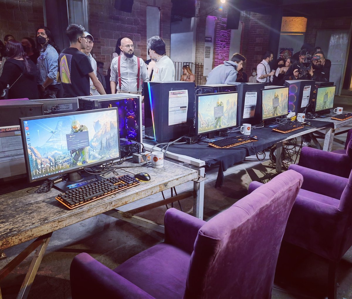 Ya empezaremos los combates #CopaMapache #darosafilms