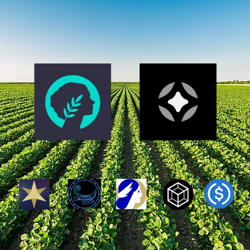 Spacefunds 🦇 tweet media