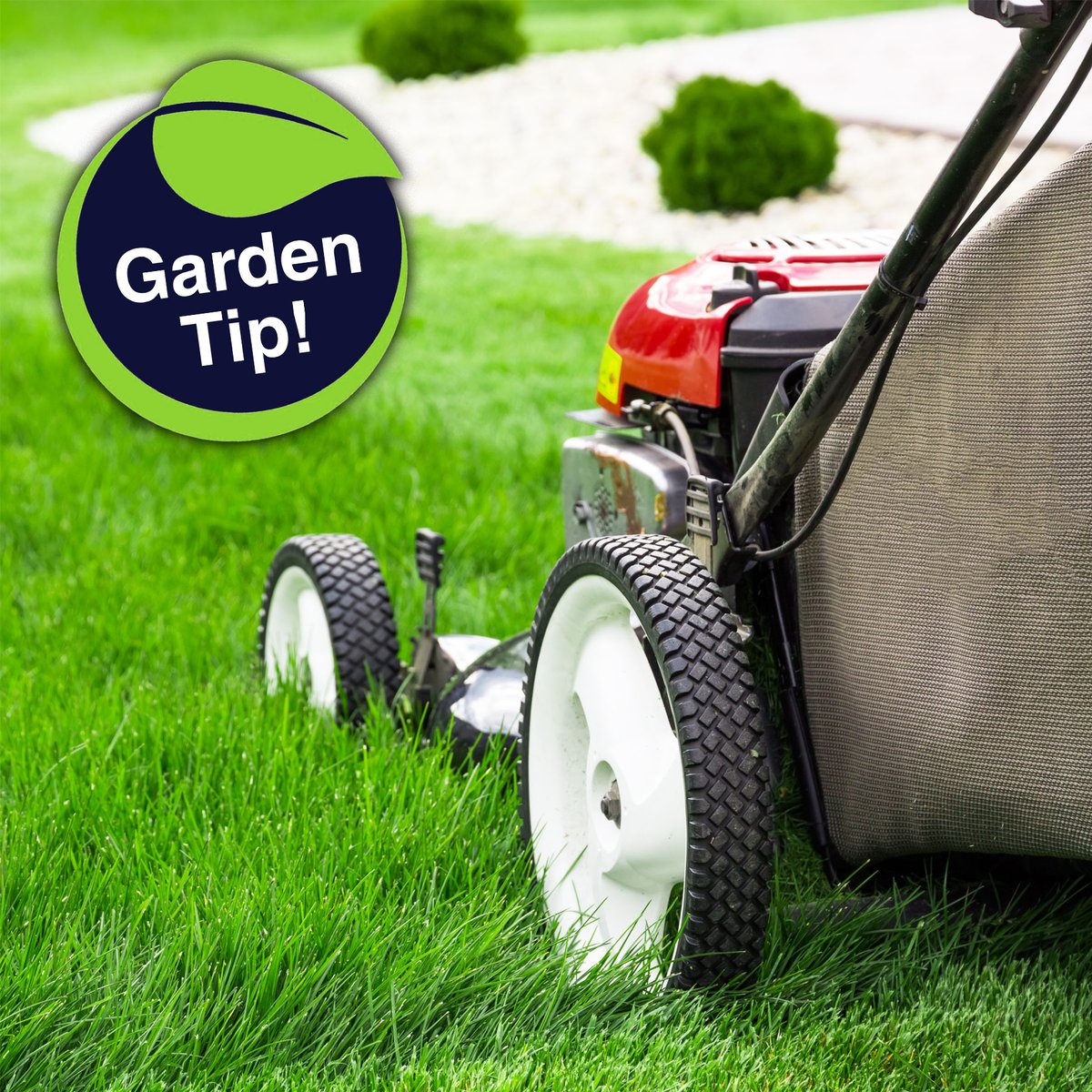 raypadulagarden's tweet photo. It's almost time to break out the lawn mower! 🙌 Taking a few steps now to prepare your mower for use will ensure optimal performance and an lush looking #lawn all season long!

LEARN MORE:  https://t.co/pFCgsNeR3L

#garden #lawntip #lawnmower #springprep #gardentips #raypadula https://t.co/AAKipTglja