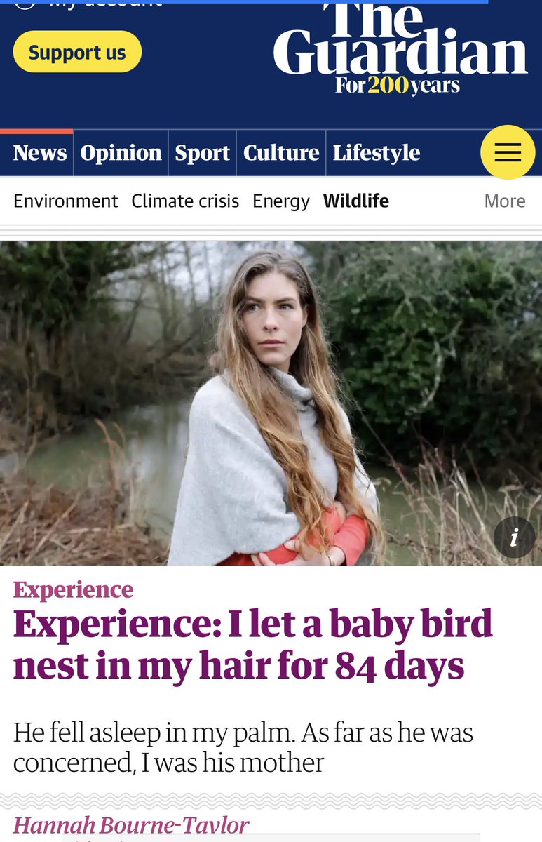PatrickLenton's tweet image. I don’t think we fully appreciate just what a deranged gift the Guardian “experiences” column is - a seemingly endless deluge of British horse girls telling us about their lives with almost no introspection