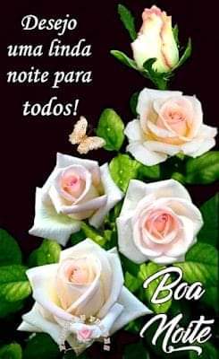 clebiosantosdas's tweet photo. Boa noite Deus abençoe. https://t.co/943EhYx3Al