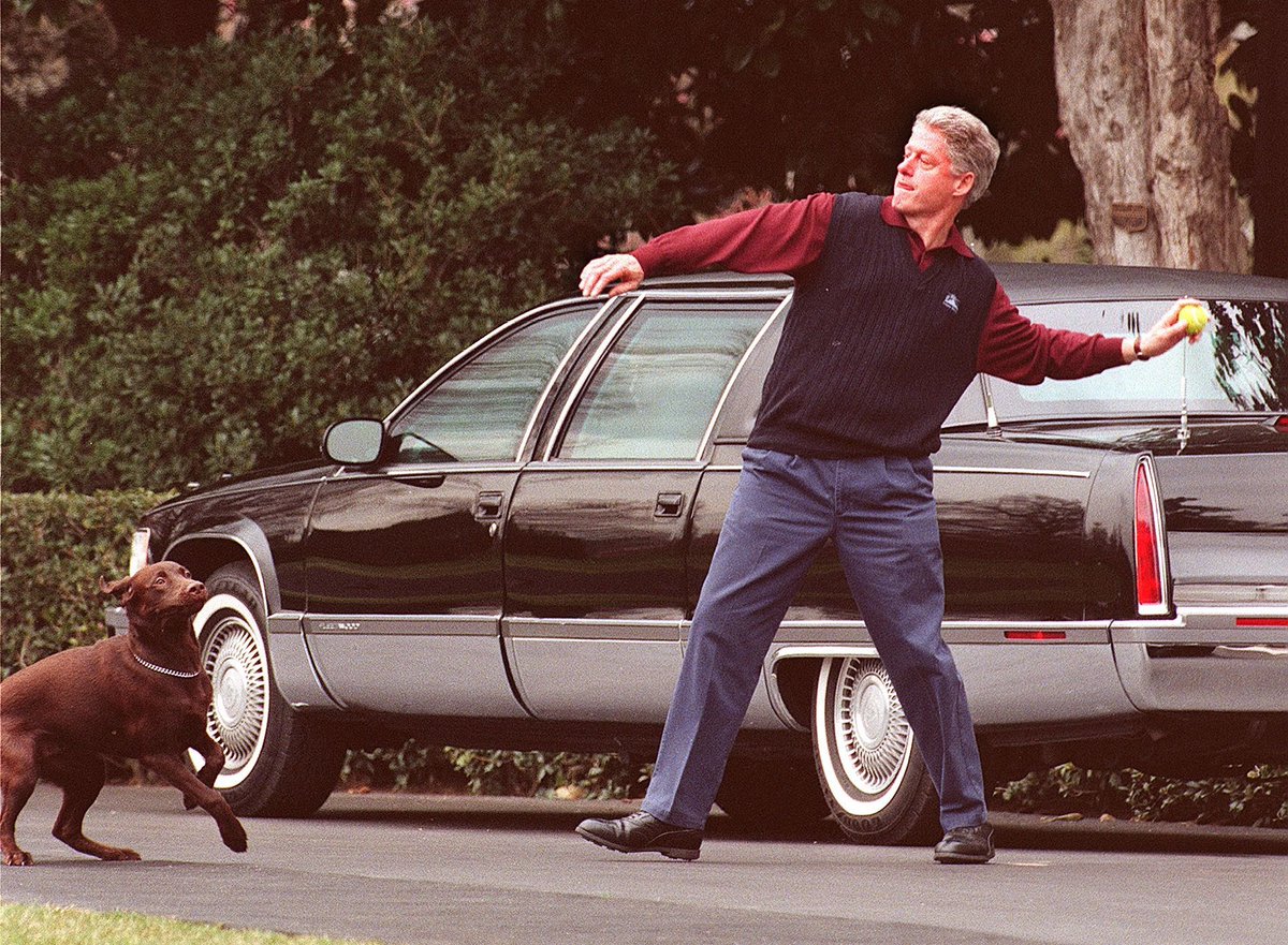 normalpols's tweet photo. Bill Clinton throws a tennis ball for his dog Buddy. 2nd March, 1998. https://t.co/MrwFSnCavY