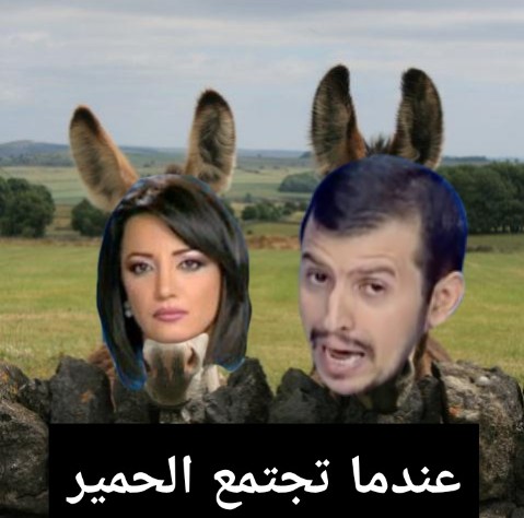 💎🆅🅸🅿 tweet media