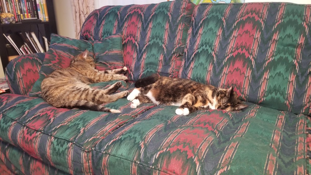 bbuggbbugg's tweet photo. I got a real couch! https://t.co/lJLNx81fA2