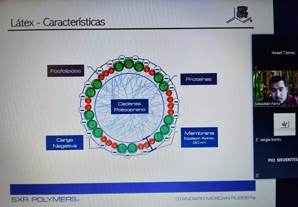 DelHule's tweet photo. Agradecemos a nuestro asociado @HuleNatural SXR Polymers y Sebastián Parra por brindarnos la importante capacitación Análisis técnico de los eslabones del hule natural.

@Sergiohulelatex @CCIJalisco @CONCAMIN https://t.co/egkSLMweUp