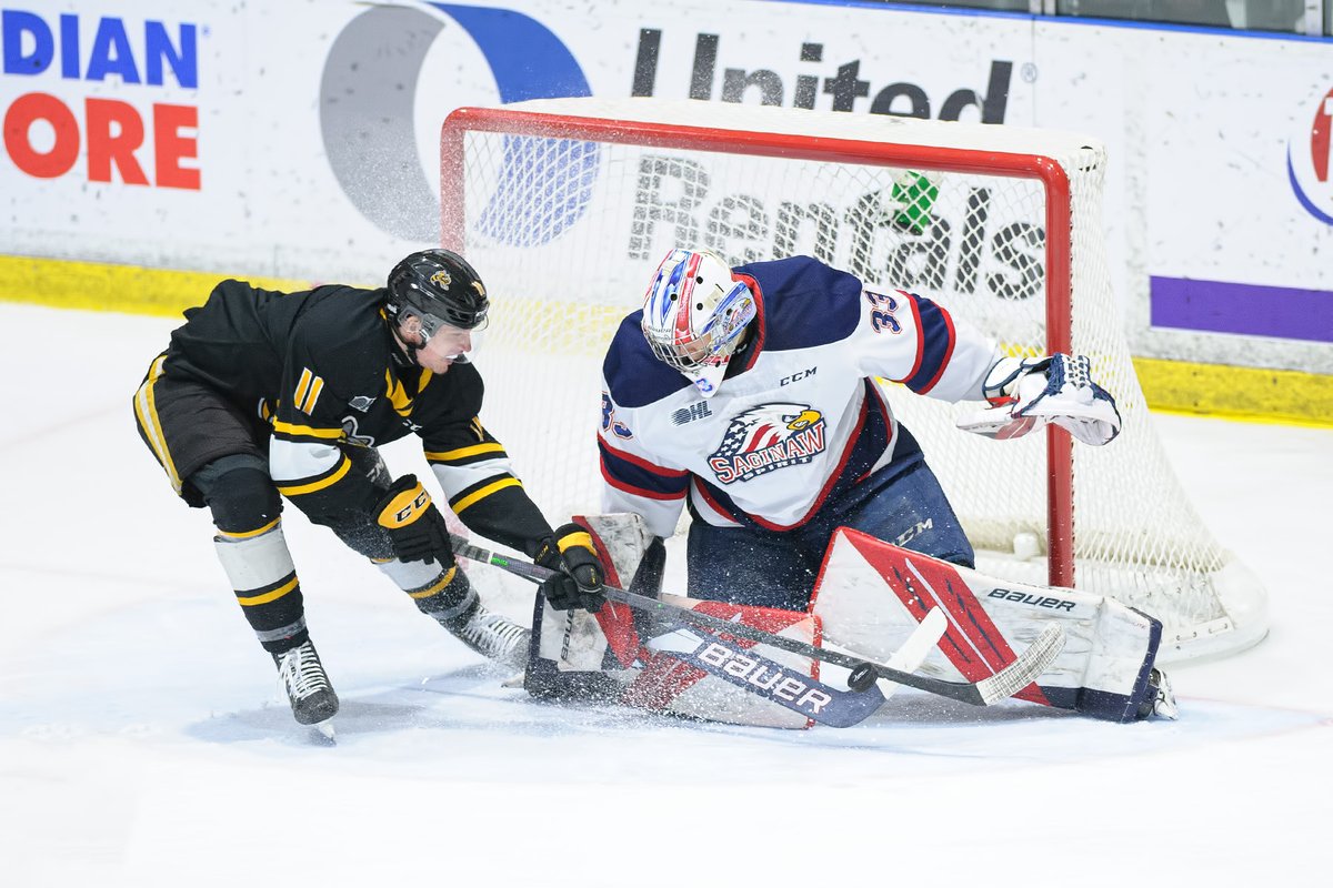 Metcalfe Photography tweet media