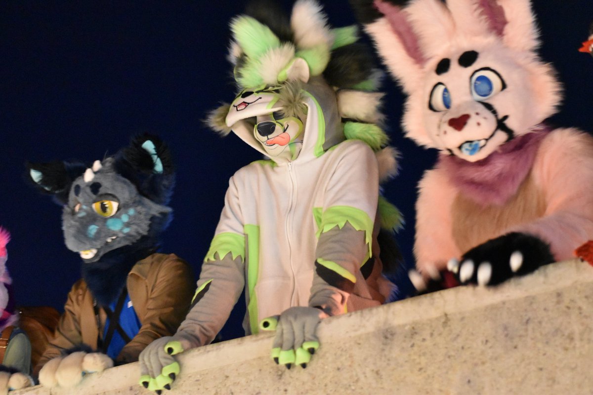 Addressing my loyal sub-ger-cts, a true dictat-ger.

🦊 @Cottonfloss_01 
🐉🐺 <a href="/Bash095/">Eden</a> 
📸 <a href="/Charlie_Dingo/">King Charlie Dingo</a> 
🦡 Hoodie by <a href="/lemonbrat/">Lemonbrat@FurCon! 🌈🍋💛</a>