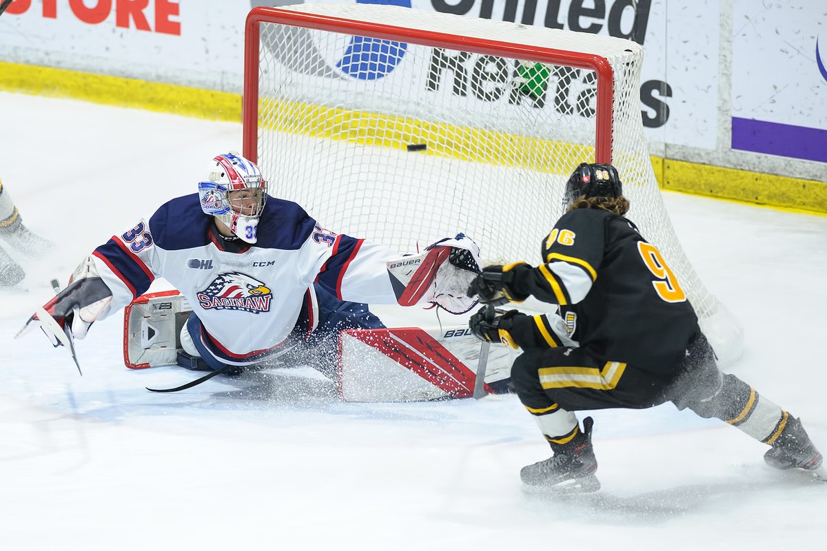 Metcalfe Photography tweet media