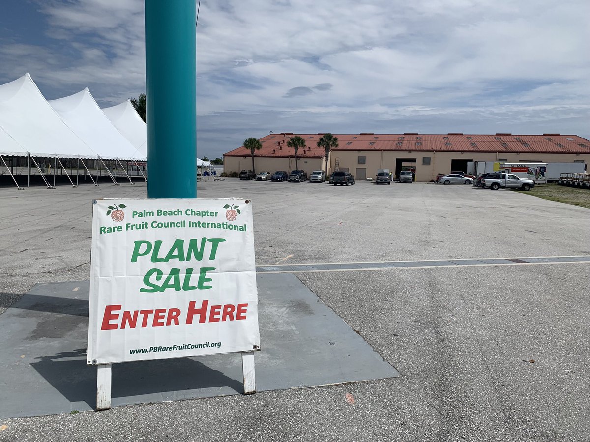 RareFruit_PB's tweet image. PLANT SALE!!
LOOK FOR THE ORANGE ROOF BUILDING. 
Agriplex @ Fairgrounds. 
See you at 9. 

#rarefruit #rarefruittrees #rarefruits #gardening #plantsale #healthyfood #growyourownfood #plinia #florida #westpalmbeach #fruittrees