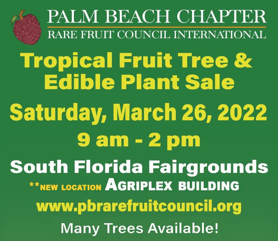 RareFruit_PB's tweet image. PLANT SALE!!
LOOK FOR THE ORANGE ROOF BUILDING. 
Agriplex @ Fairgrounds. 
See you at 9. 

#rarefruit #rarefruittrees #rarefruits #gardening #plantsale #healthyfood #growyourownfood #plinia #florida #westpalmbeach #fruittrees