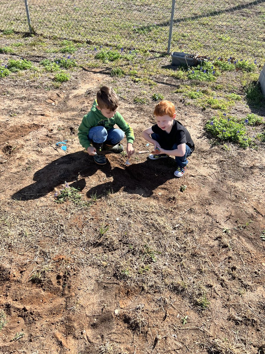 mrsleticiaberry's tweet photo. A glorious day to plant! 🍅 &🌿next up native pollinators #nisdprojectACORN #NISDElemscience #NISDCole https://t.co/okVelgnfGl