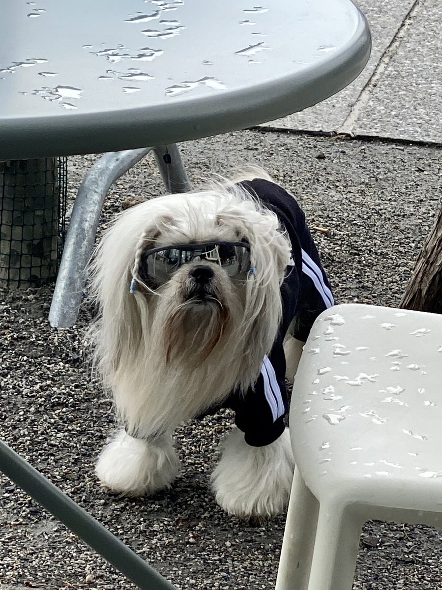 what kind of crypto rayray is this?