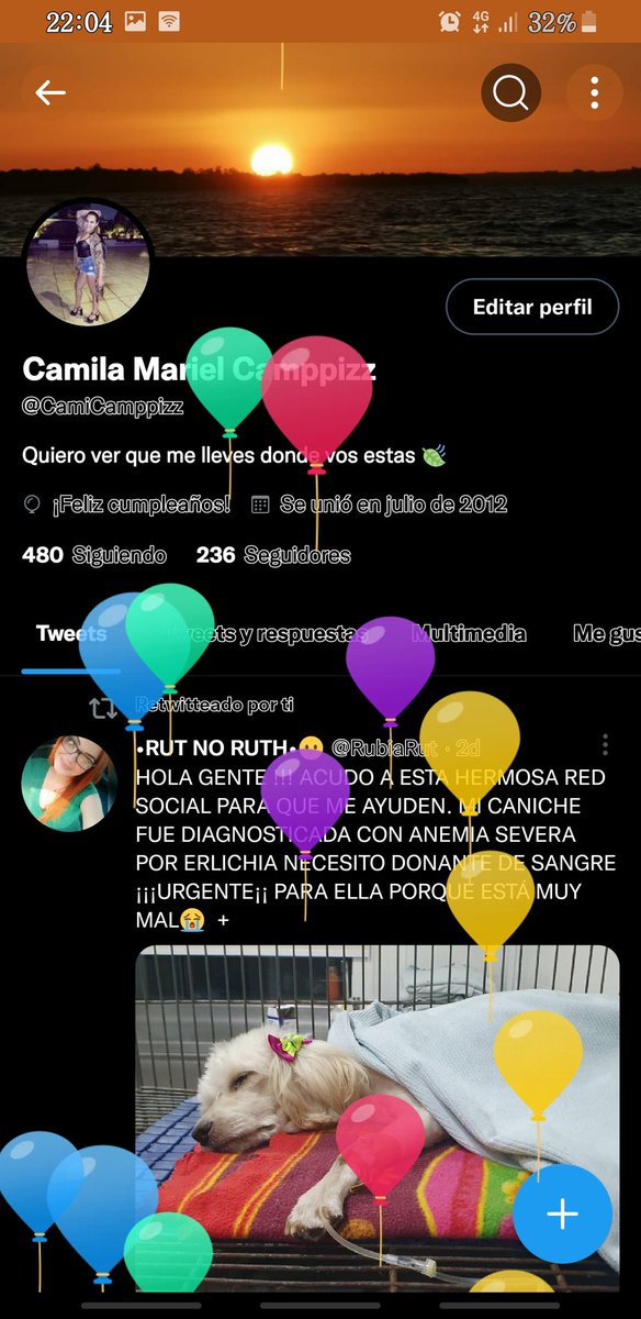 CamiCamppizz's tweet photo. Amando mis globitos 🥰
#mis25 🥳🍻🤩💞 https://t.co/no53nONmbV