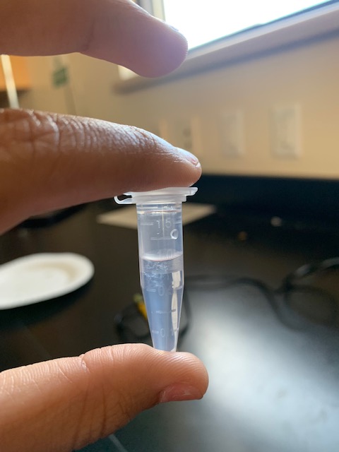 Fun lab Friday! Today we extracted the DNA from strawberries 🍓<a href="/IDEACenterHS/">IDEA Center HS</a>