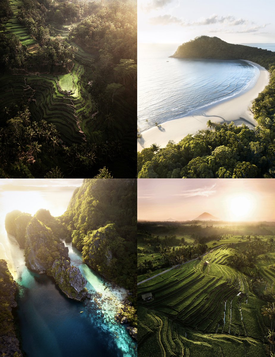 Merr Watson tweet media