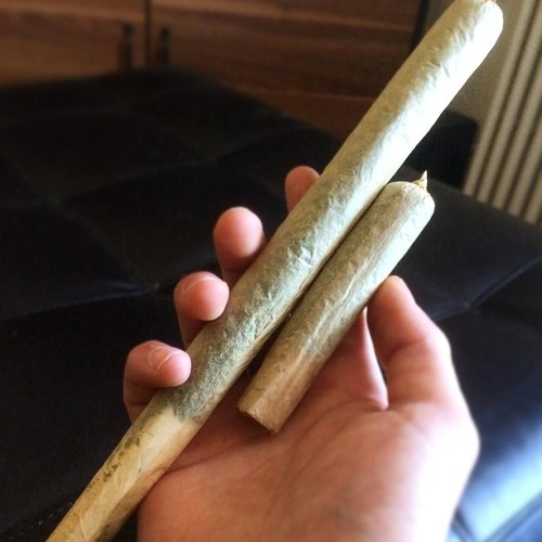 Who is ready for the weekend?????

#cannabisculture #WEEDS #marijuananews #stonertribeMETA 
👇