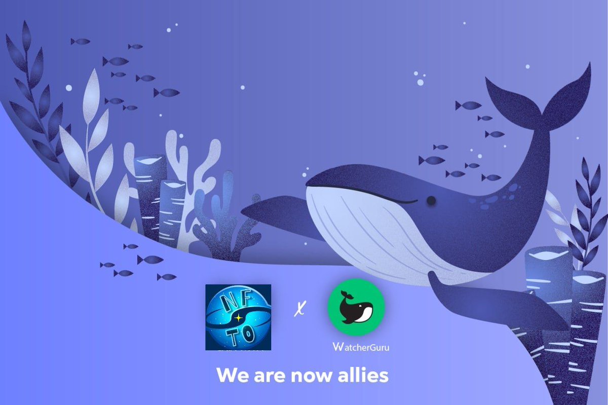 NFTOTOKEN's tweet photo. We are now Partners with the Whales. We will give you more details and discuss the perks of this partnership later ❤️🐳
#NFTO #NFT
@NFTOTOKEN https://t.co/qSLUNu2AG7
