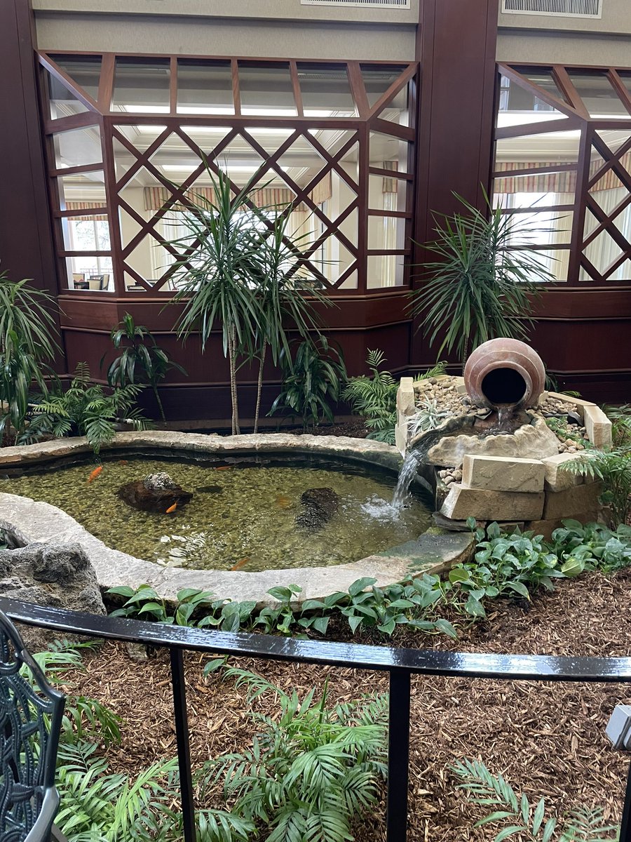 chareeishappy's tweet image. บ้านพักคนชราที่อเมริกา รูปแบบ co-op คือเป็น condominium ที่ผู้อาศัยครอบครองห้อง แต่ในตึกคือเป็นคนเกษียณอายุหมดเลย ชั้นล่างมีร้านอาหาร ห้องสมุด บริการส่งไปษณีย์ สระว่ายน้ำ บริเวณให้นั่งเล่นกับเพื่อนวัยรีไทร์ด้วยกัน ถ้ามีคนมาเยี่ยมก็ hang out ในตึกได้เลย มีพยาบาล standby 24 ชั่วโมง