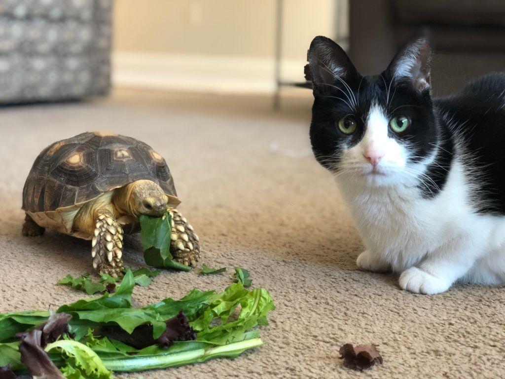 In six words or fewer, write a story about this photo.
#sixwordstory #WritingCommunity