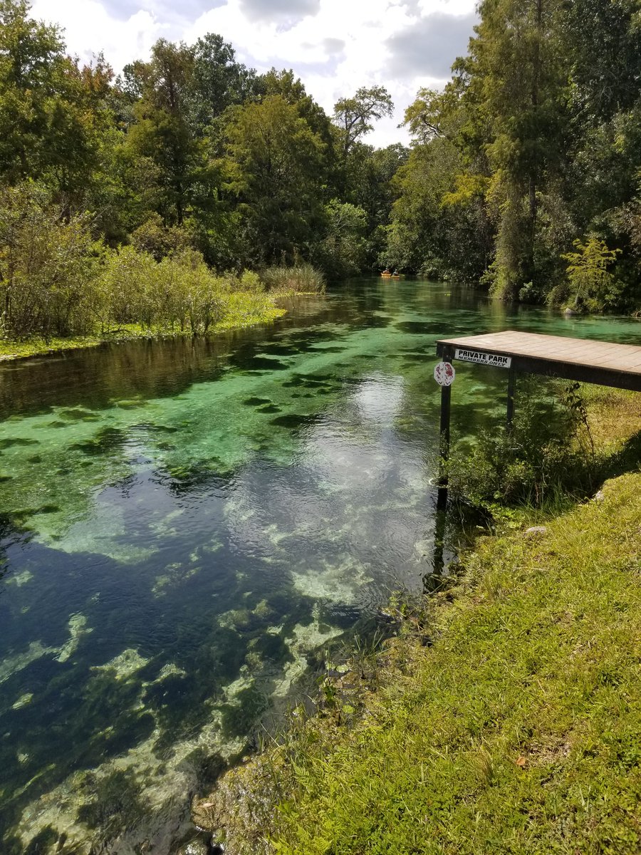 Weeki Wacheean tweet media