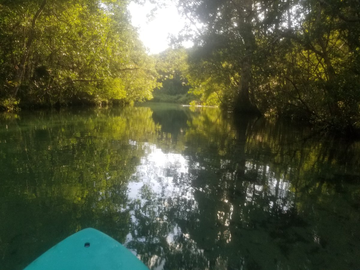 Weeki Wacheean tweet media