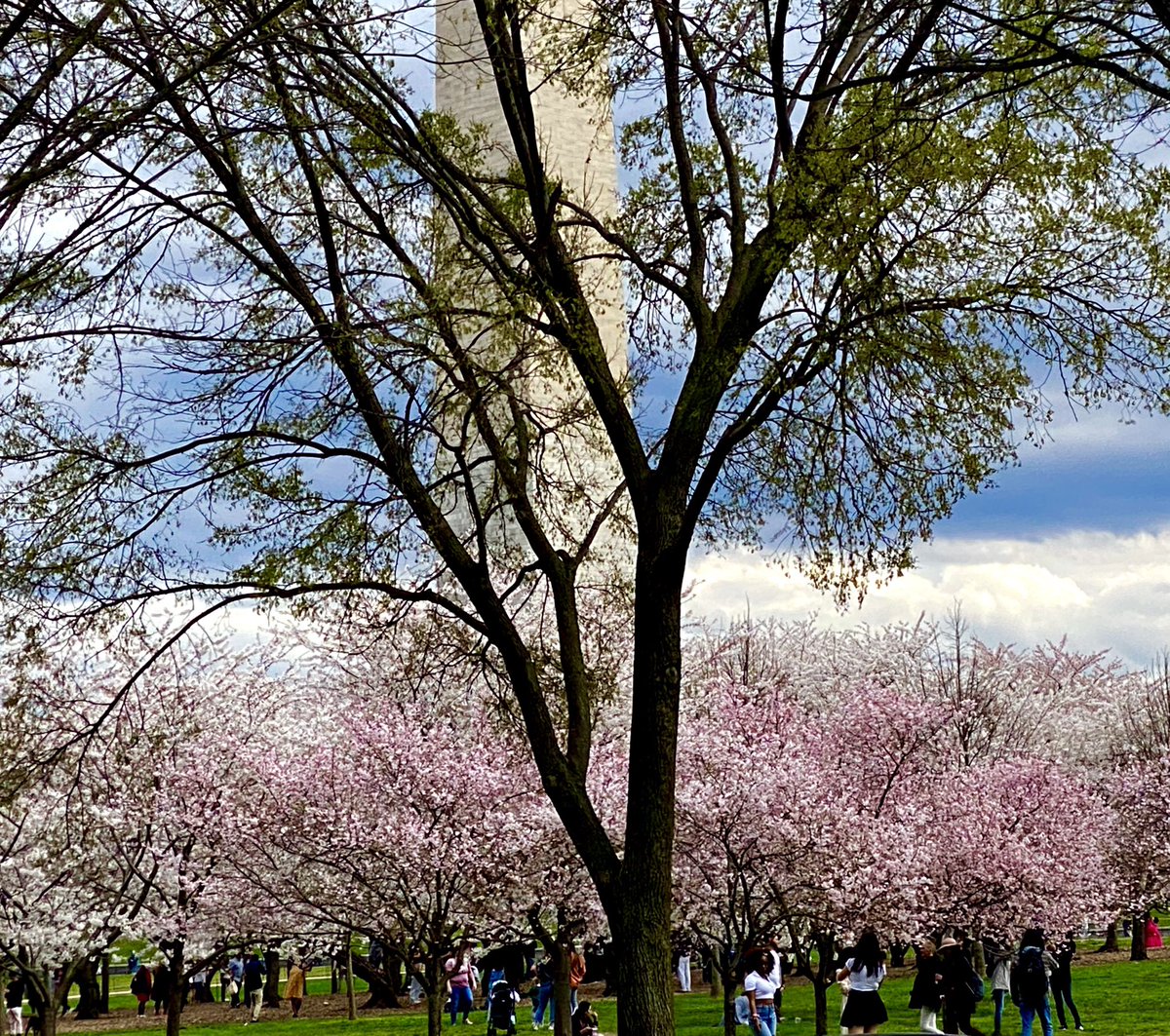 <a href="/francesarnold/">Frances Arnold</a> <a href="/maria_zuber/">Maria Zuber</a> Ideas &amp; cherry blossoms both in full bloom. Excited about the #PCAST directions. <a href="/francesarnold/">Frances Arnold</a> <a href="/maria_zuber/">Maria Zuber</a>