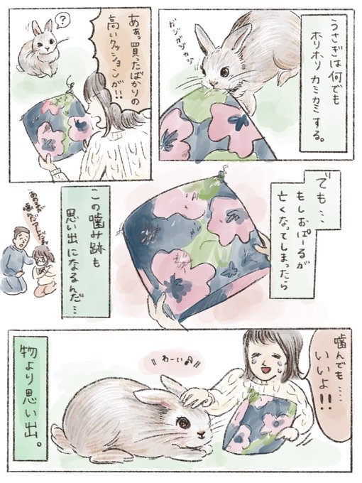 うさぎのいる暮らし を含むマンガ一覧 ツイコミ 仮