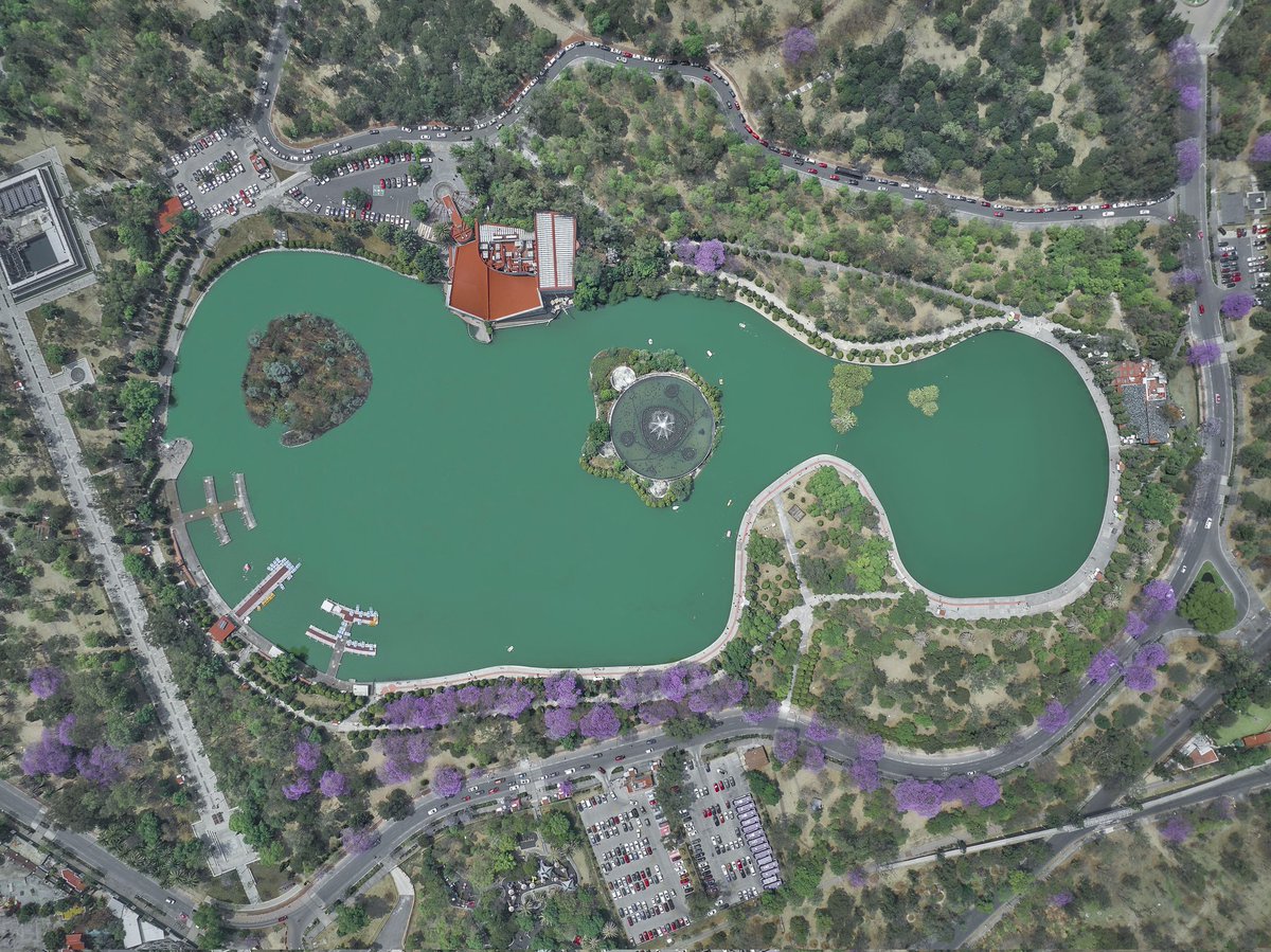 elivanmacias's tweet photo. Lago mayor de Chapultepec con #jacarandas https://t.co/AeQQDuI5ih