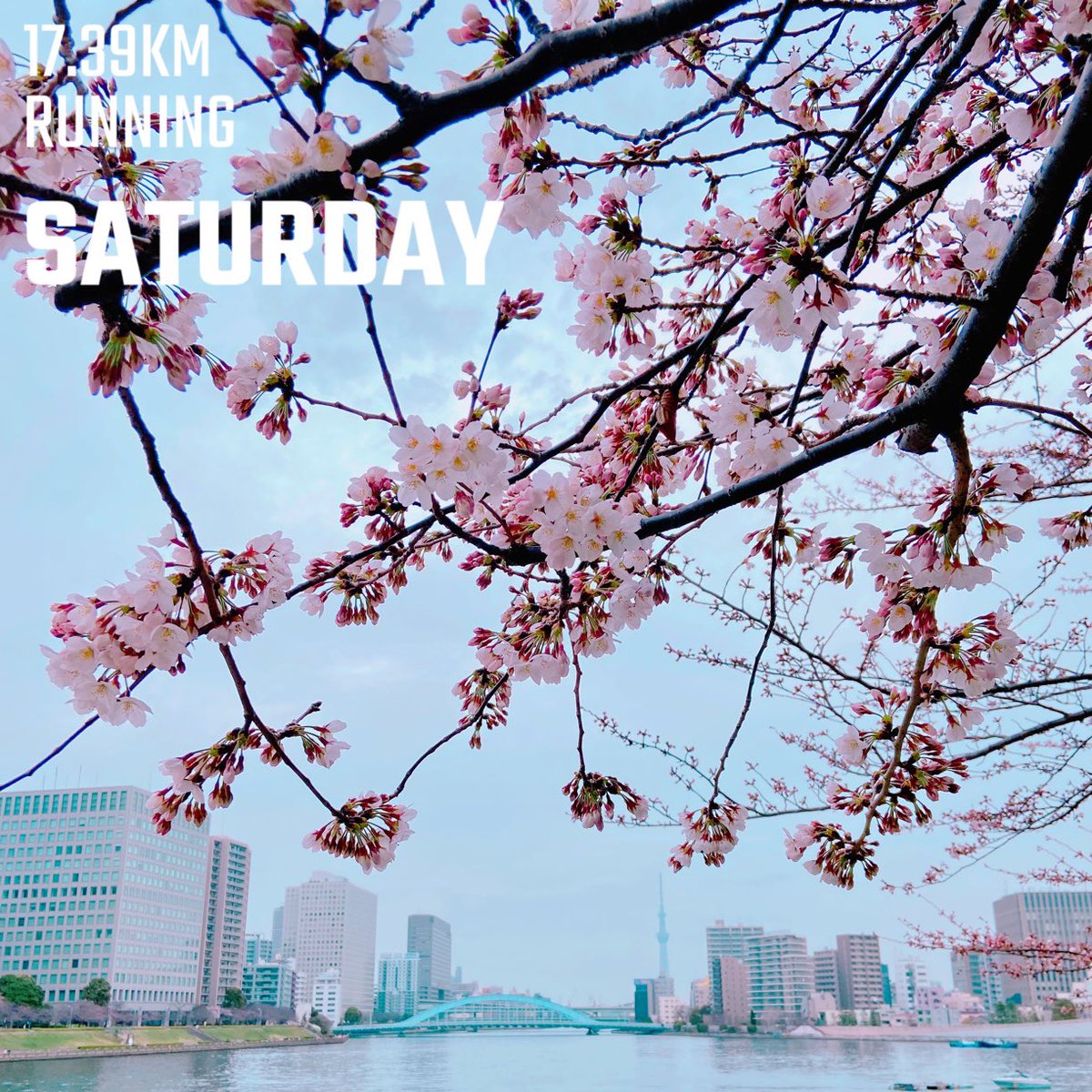 hdkoga's tweet photo. #running #runner #ランニング #朝ラン
#garmin #strava #nike #nikerunning
#隅田川 #スカイツリー https://t.co/6aEt80bkhA
