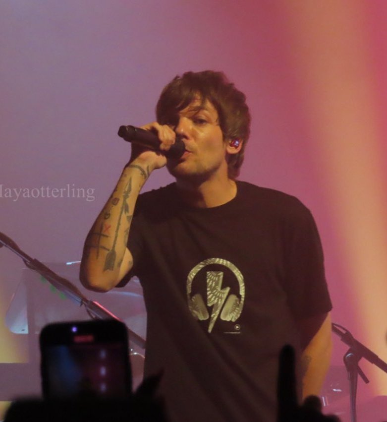 fitflouisst's tweet photo. Abro hilo absolutamente necesario de fotos en buena calidad de louis tomlinson en su concierto en Stockholm ♥️ https://t.co/TIWYzb9E7w