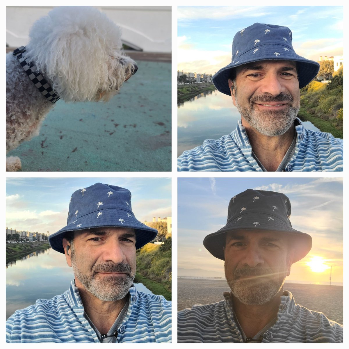 TomNorian's tweet photo. #musicsunset #walkingmydog https://t.co/kytXXsuq8Z