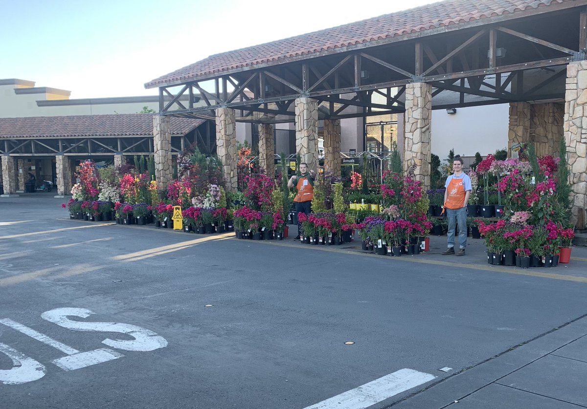 Shane Silva tweet media