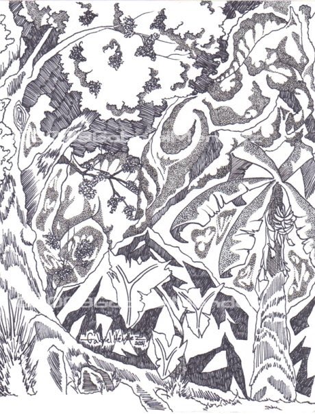 Here are two of my pen and ink drawings hope you like it.