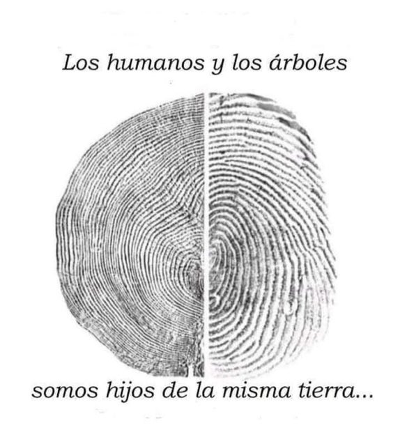 ObservadorLuz's tweet photo. https://t.co/GZt5XE5Zxy