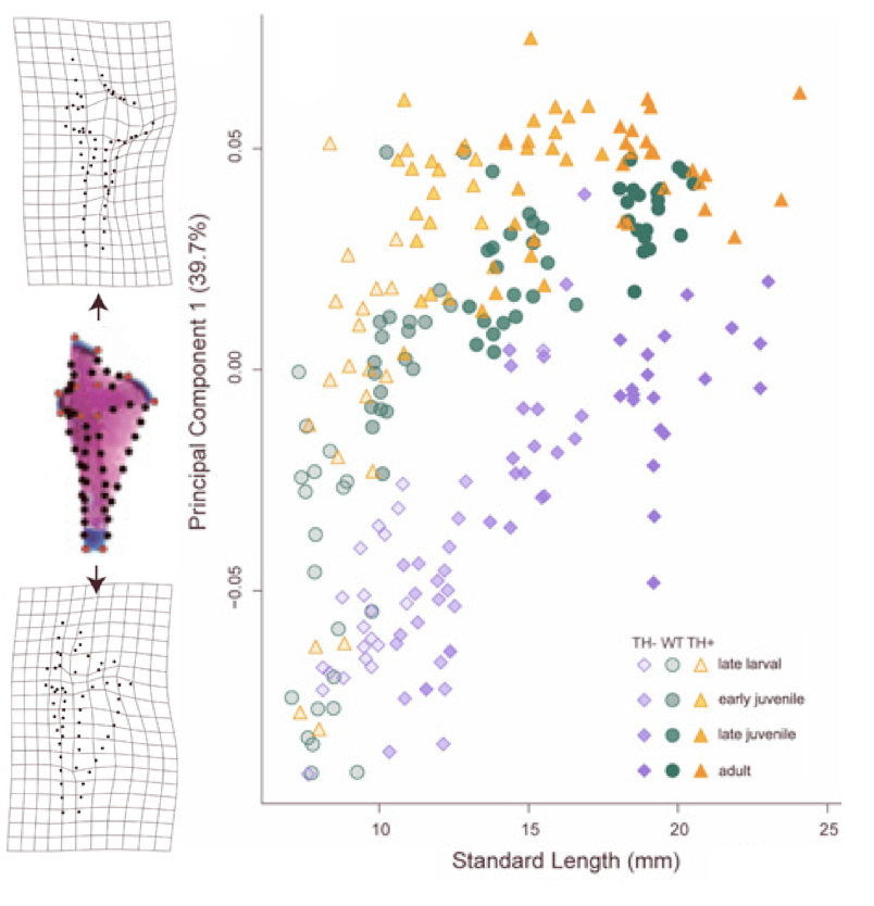 Sarah McMenamin, she/her tweet media