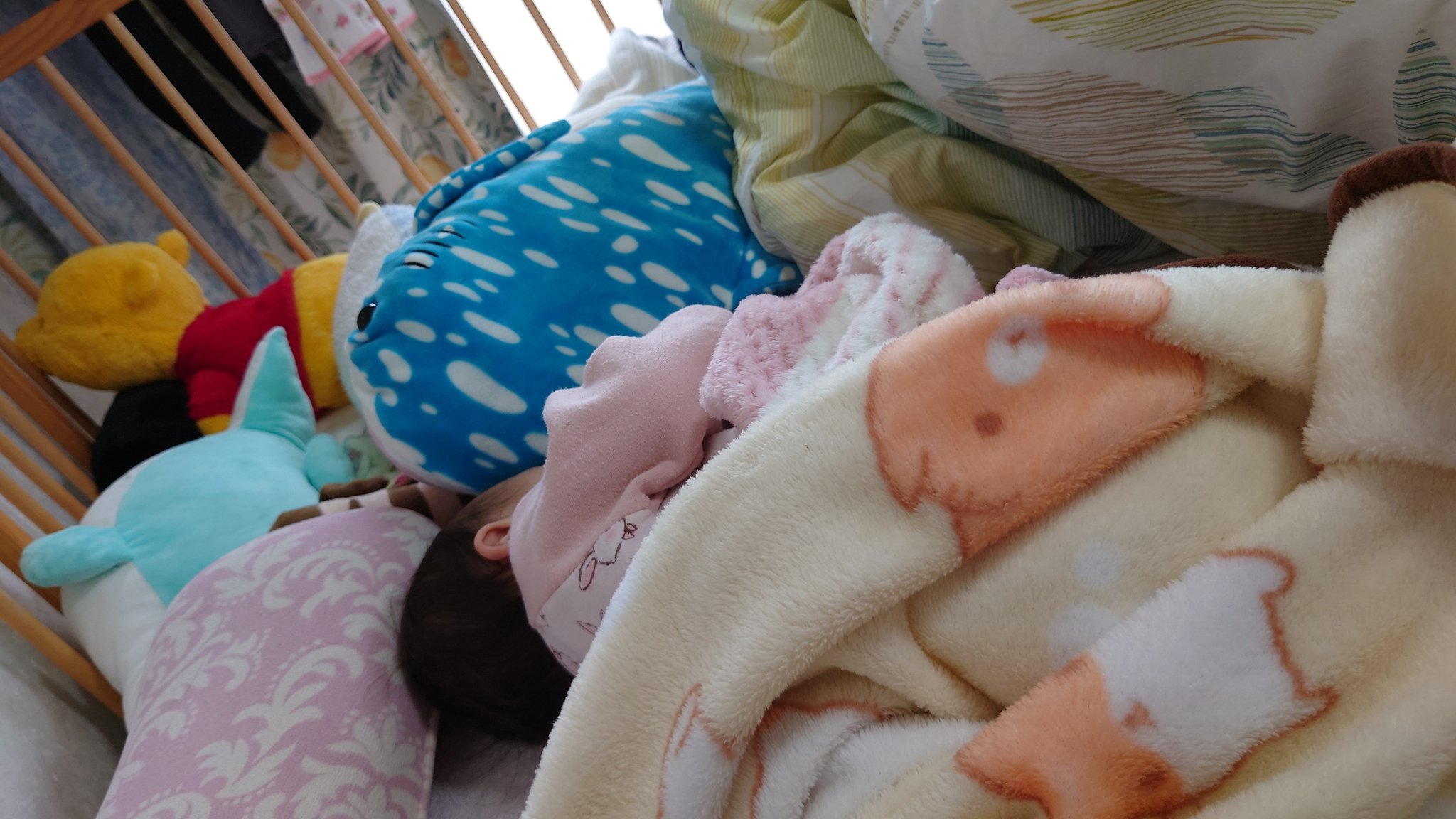 ふく いろいろつくる うーちゃんお気に入りのジンベイザメのぬいぐるみ 寝る時はだいたいこれ抱いてるか顔埋めてる おっきくてふわふわのぬいぐるみやクッションは基本的に大好きな様子 T Co Sizz7otfyd Twitter