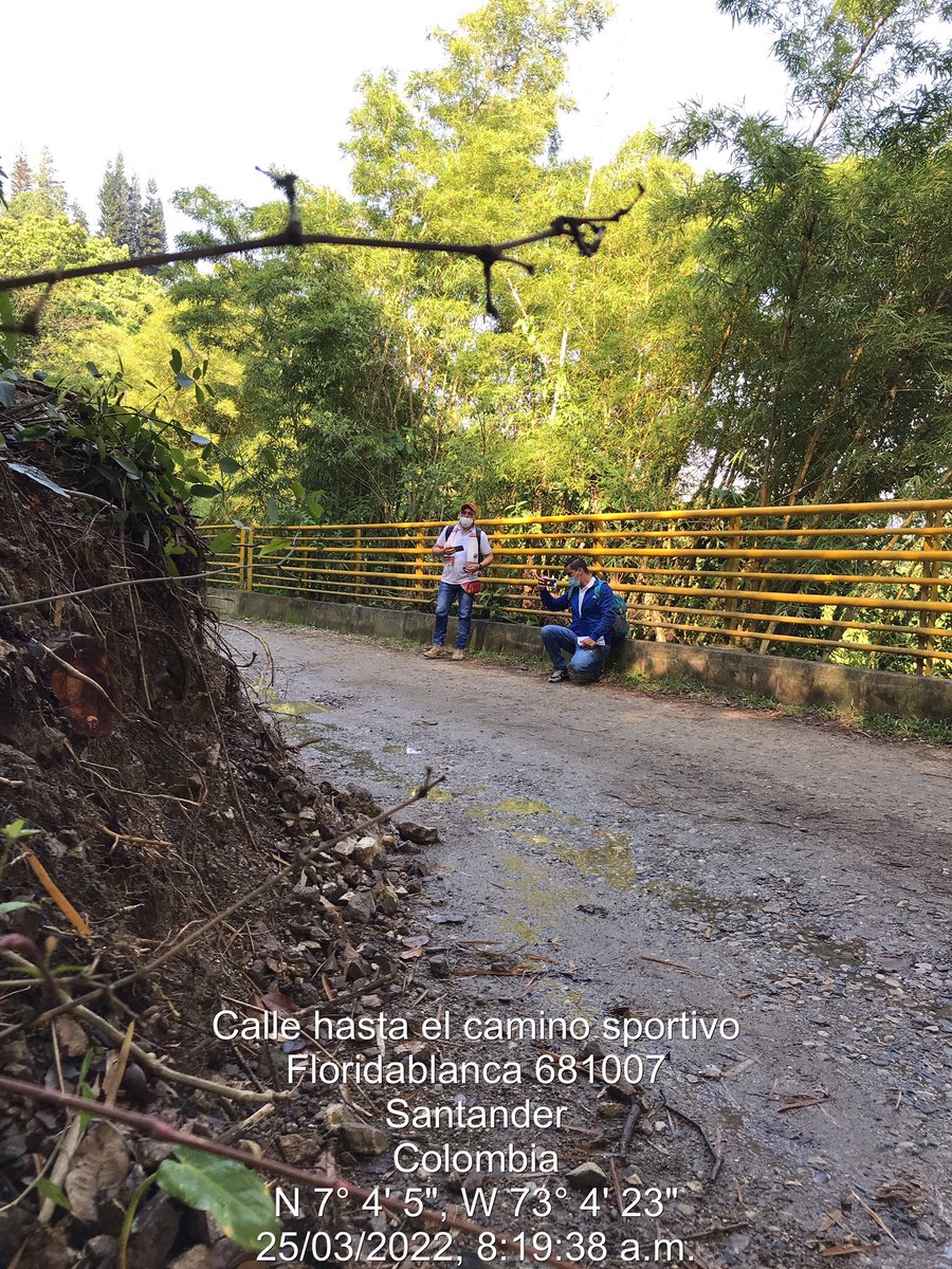 Ana Maria Ardila tweet media