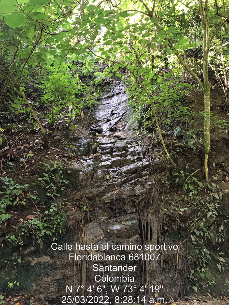 Ana Maria Ardila tweet media