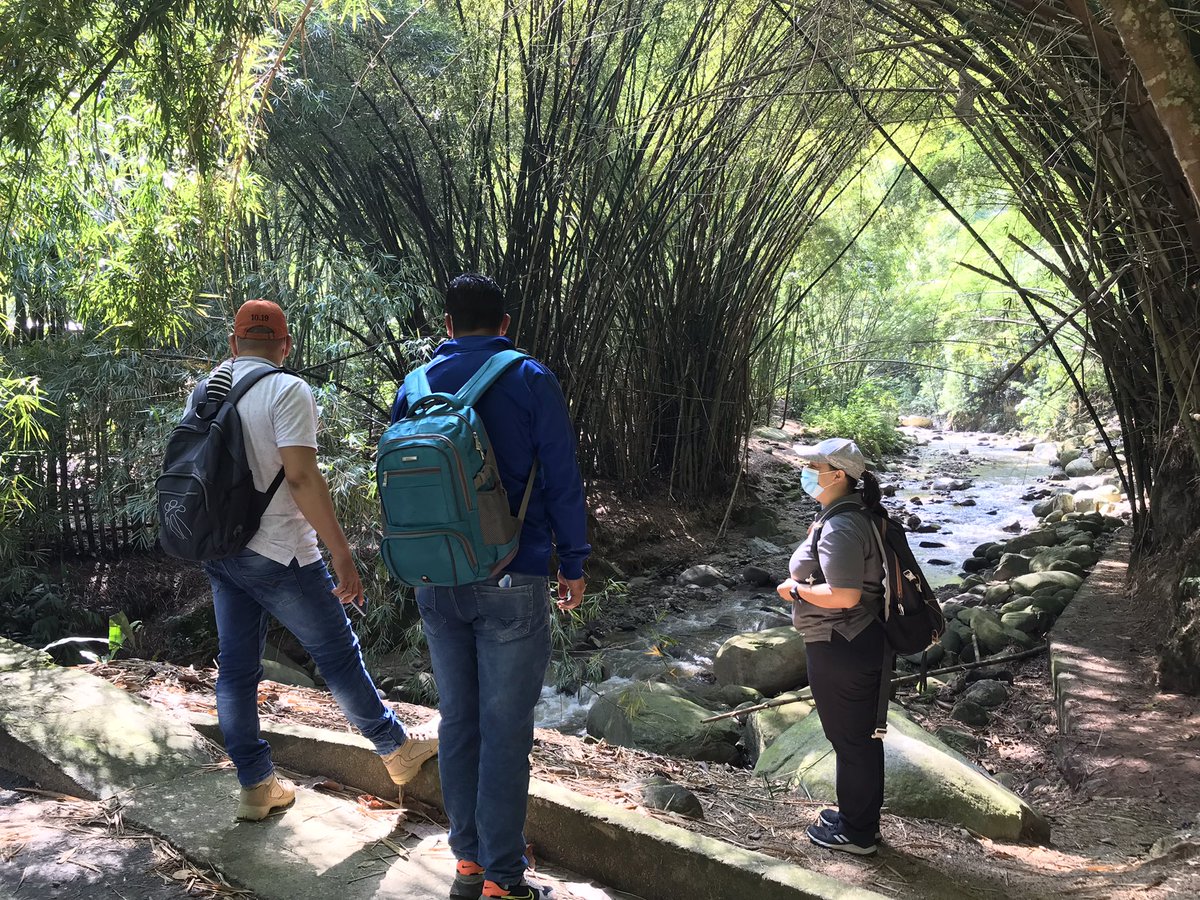 Ana Maria Ardila tweet media