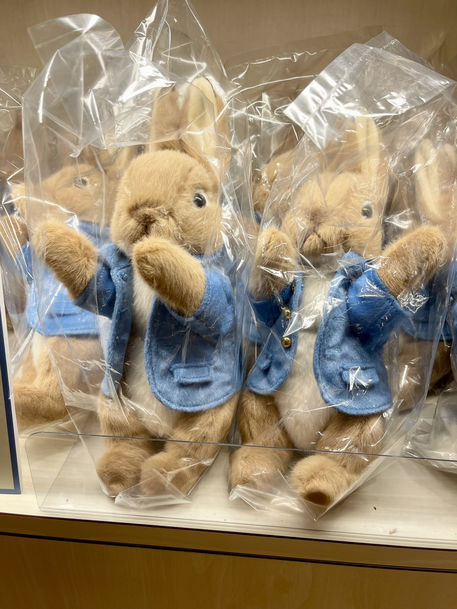 神田比呂志 Ar Twitter 出版1周年 ピーターラビット 展 開幕です ショップでは会場限定のグッズもたくさん このお揃いのあの ぬいぐるみも会場限定です 売り切れる前にぜひ ピーターラビット展 世田谷美術館 T Co Nvegpuexuj Twitter