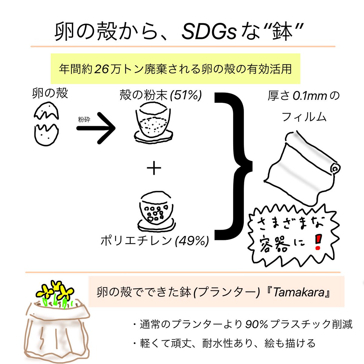 n_and_a_2022's tweet photo. 2022.3.23WBSトレたまにて、卵の殻を活用したフィルムについて取り上げられました。今回は、鉢(プランター)が主に紹介されましたが、様々な食品容器への展開が期待されます。こういった製品が身近になる社会になるといいですね
#SDGs
#ネクアス
#NEQAS
#脱プラ
#n_and_a https://t.co/ER5x3bi3E8