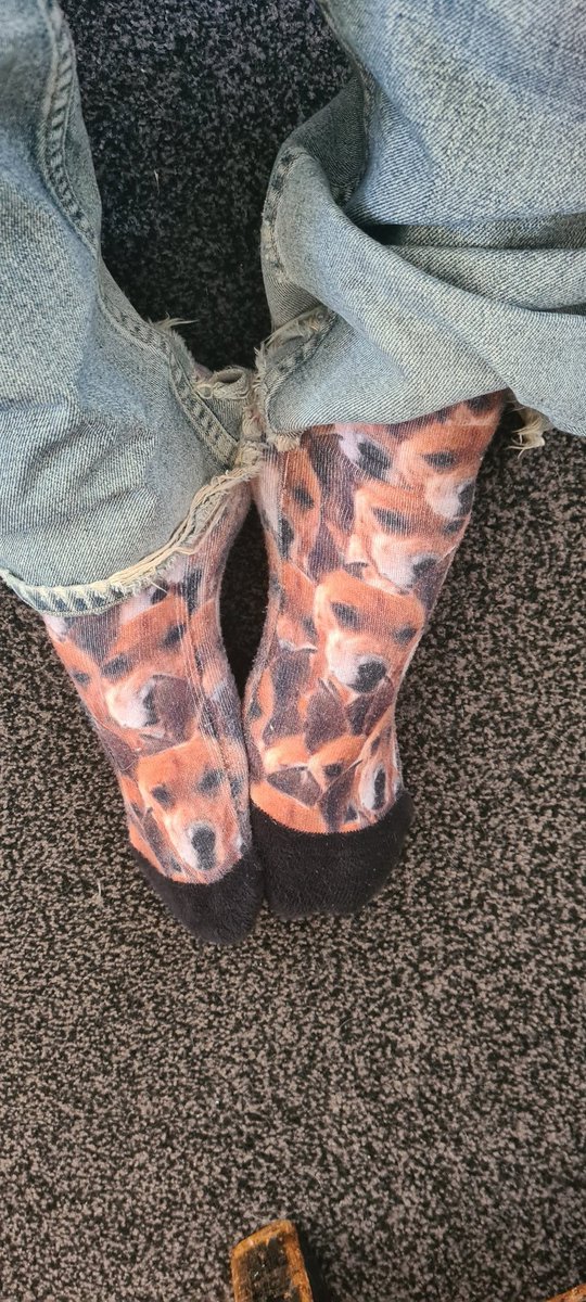 WhyChrisBrain's tweet photo. First time in over 3 months I've been able to wear my Ruby socks. #Pupdate #RIPRuby https://t.co/NxsPaHLTXd