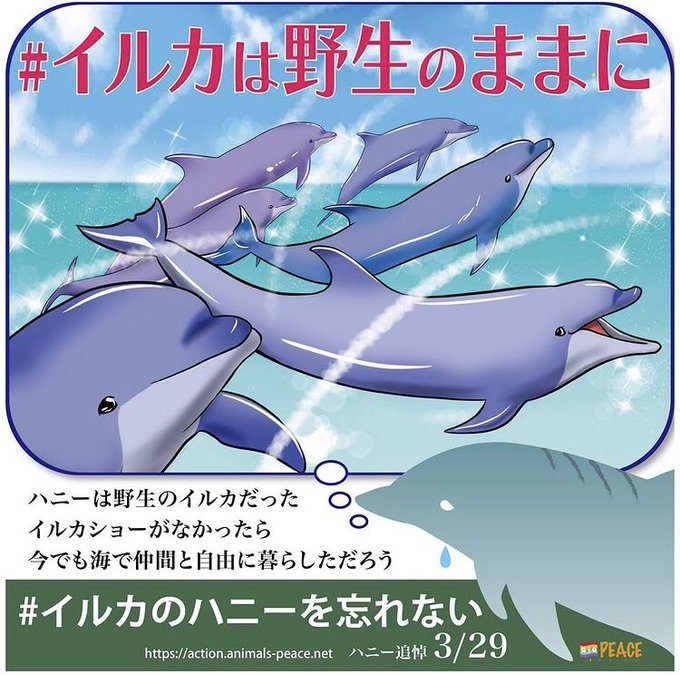 イルカショーには行きませんのtwitterイラスト検索結果