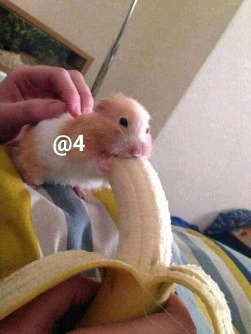 Chaparra goloza https://t.co/3Uhstzjqqy<a href="/tag/nuevafotodeperfil"class="tags"><span>#nuevafotodeperfil</span></a>