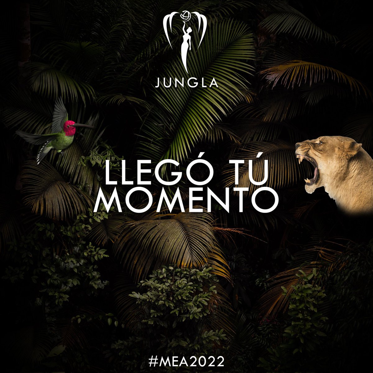 MissEarthArg's tweet photo. Llegó tú momento... ¿Estás lista? #Jungla #Jungle #MissEarth #MEA #MEA2022 https://t.co/NAR2gGetMB
