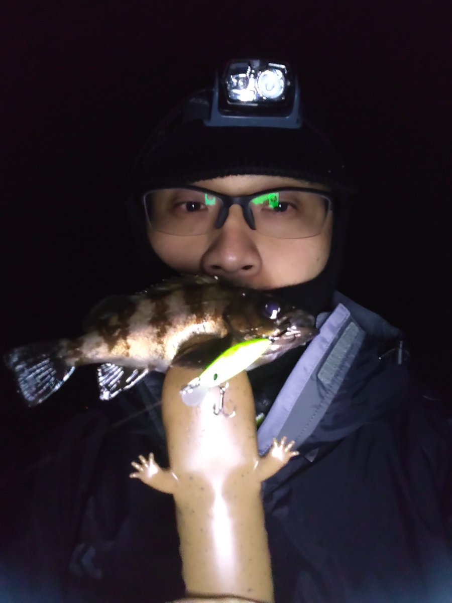 ganonndoruhu's tweet photo. とりあえずメバルGETなんやで！
まだ釣れる感覚がビシッと来ないから次釣るのに時間かかりそう
(￣▽￣;)

 #メバル  #プラッキング  #DOVER46  #APIA https://t.co/1rAmLLeblm