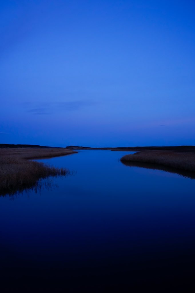 畑中正人 | Masato Hatanaka Music tweet media