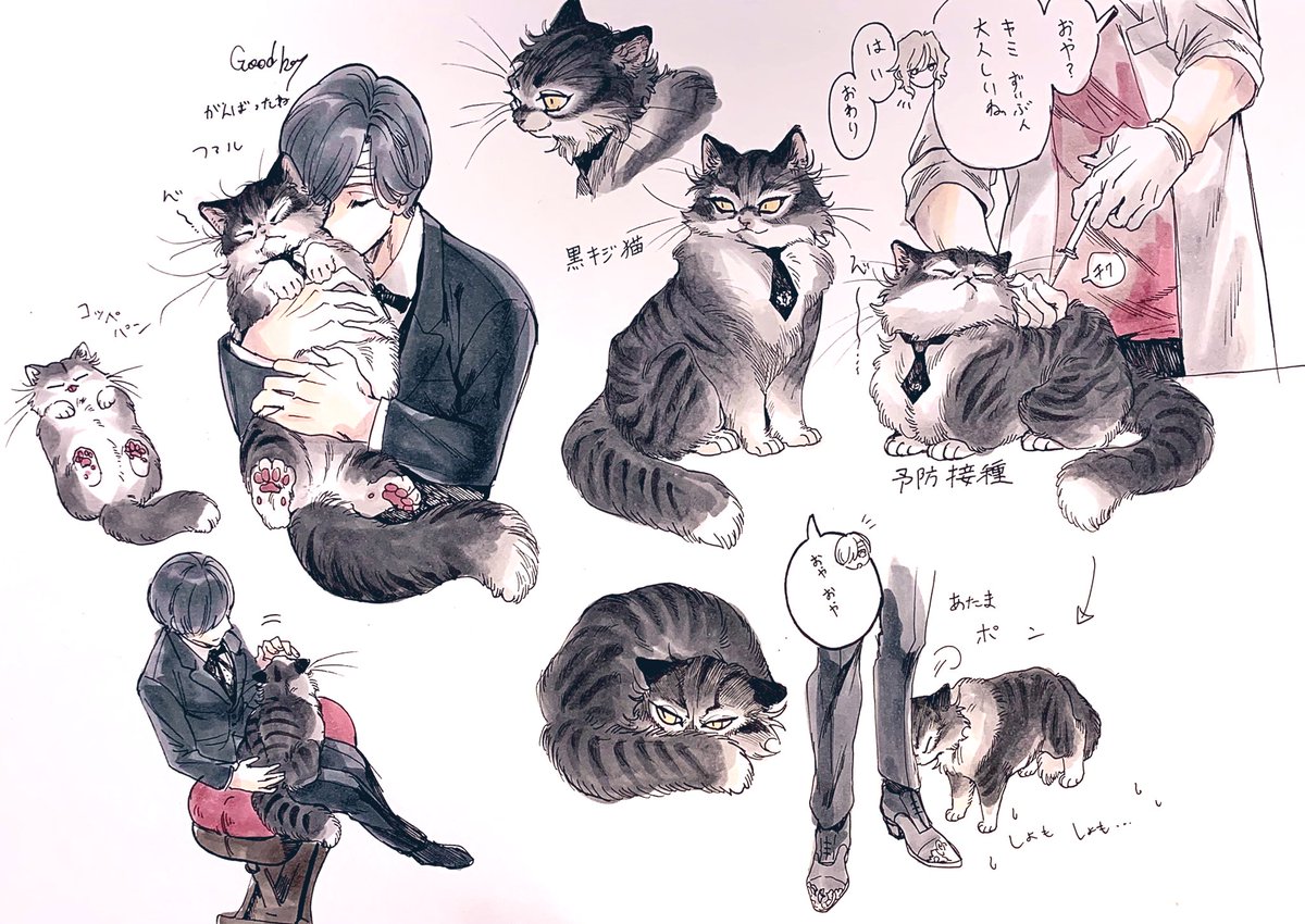 予防接種を受けるファ猫と飼い主ミカ様と診察担当したエルニキ
ケモ化幻覚
ミカファル幻覚 