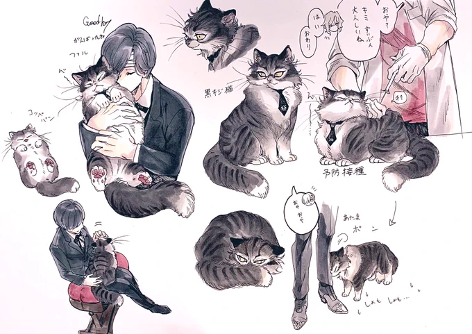 予防接種を受けるファ猫と飼い主ミカ様と診察担当したエルニキ
ケモ化幻覚
ミカファル幻覚 