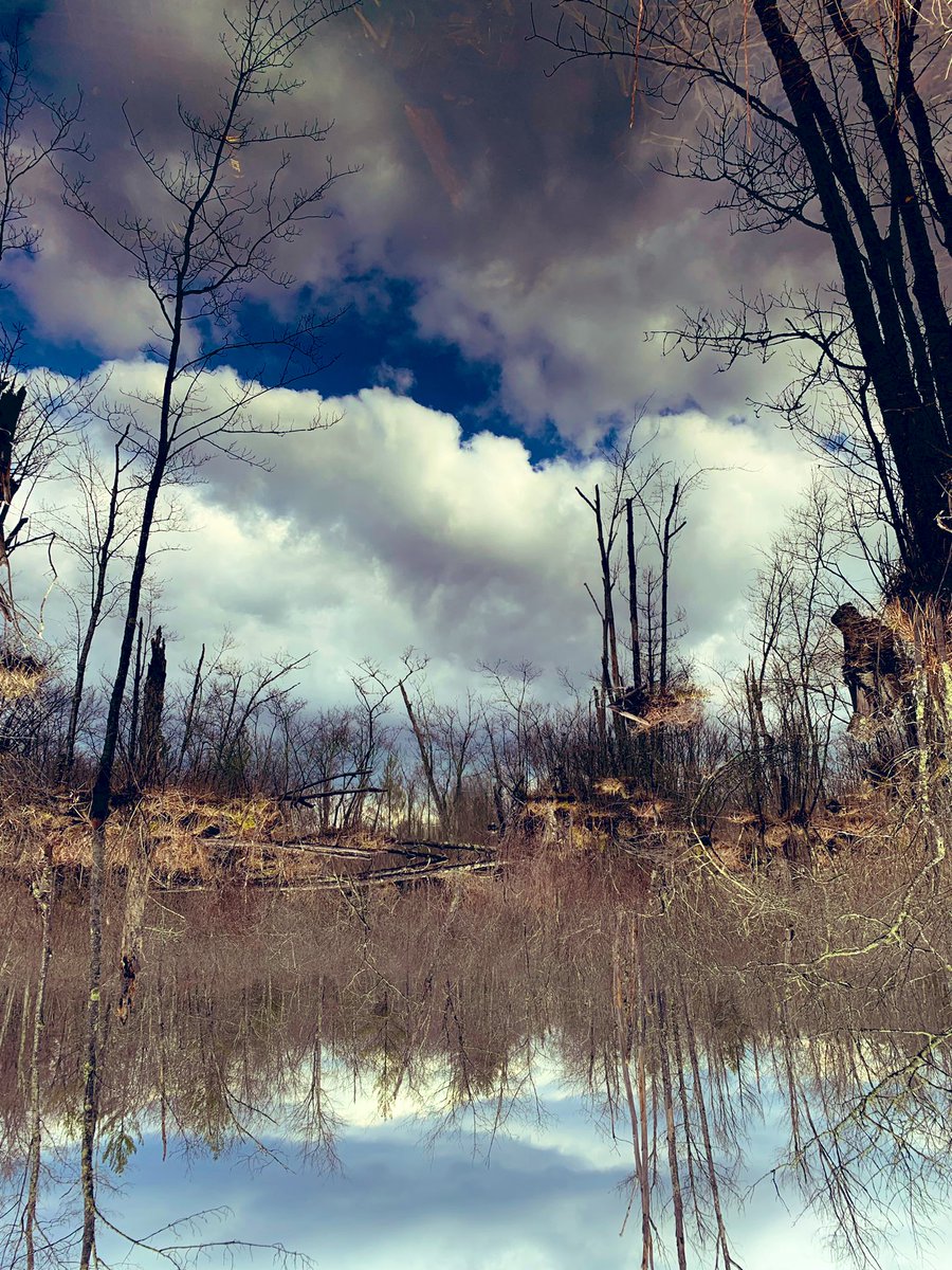 ChrisPetersonTG's tweet image. Flip it.

#MarchReflectionChallenge

Cheers to the upside down. 

@petermarteka